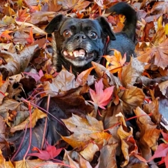 Meet your Posher, Kari - Picture 4 of 4